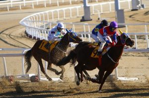Licensed Indian Horse Racing Betting Review 2026: Bonus, App, Withdrawal Tested